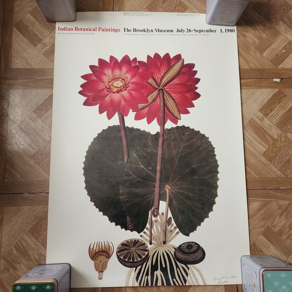 Super Rare 1980 Indian Botanical Paintings, The Brooklyn Museum Poster (28x20in)